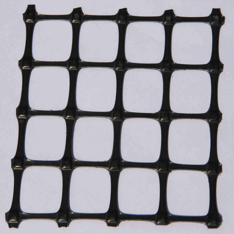 Geogrid